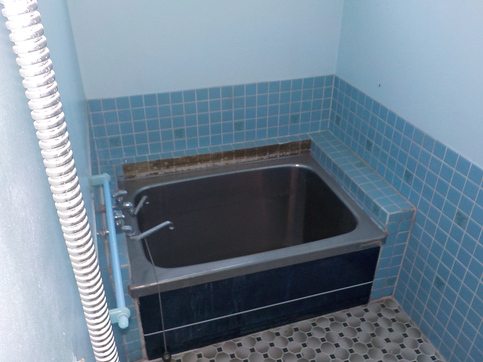 DSCN7225.JPG