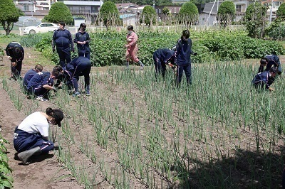 ふるさと学