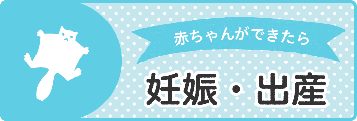 赤ちゃんができたら　妊娠・出産